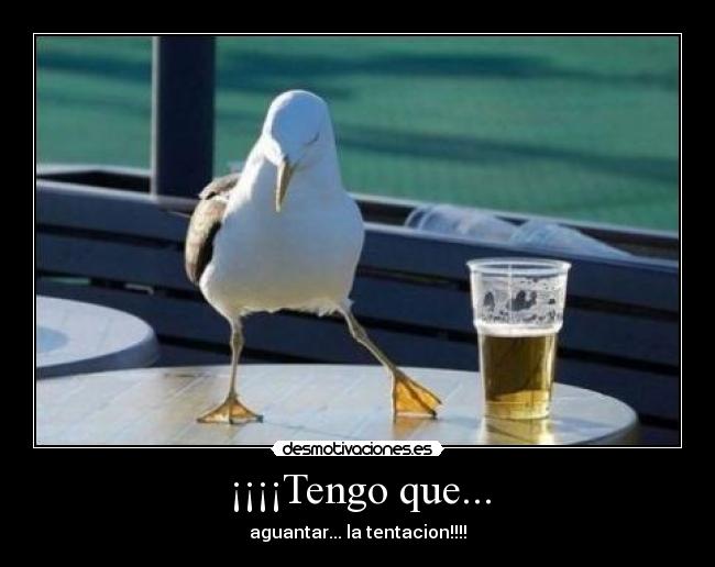 ¡¡¡¡Tengo que... - aguantar... la tentacion!!!!