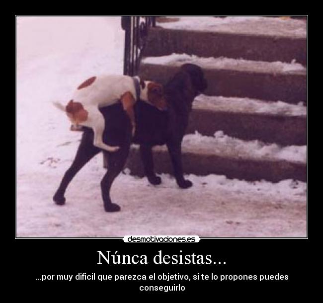 Núnca desistas... - 