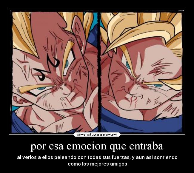por esa emocion que entraba - al verlos a ellos peleando con todas sus fuerzas, y aun asi sonriendo
como los mejores amigos