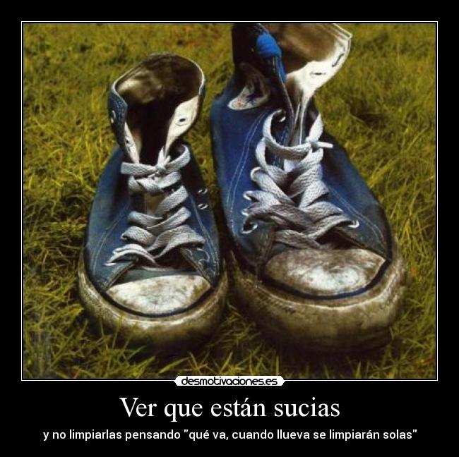 Ver que están sucias - y no limpiarlas pensando qué va, cuando llueva se limpiarán solas