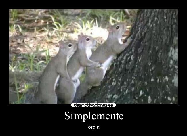 carteles orgia desmotivaciones