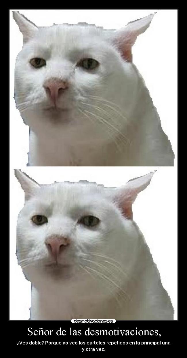 Señor de las desmotivaciones, -