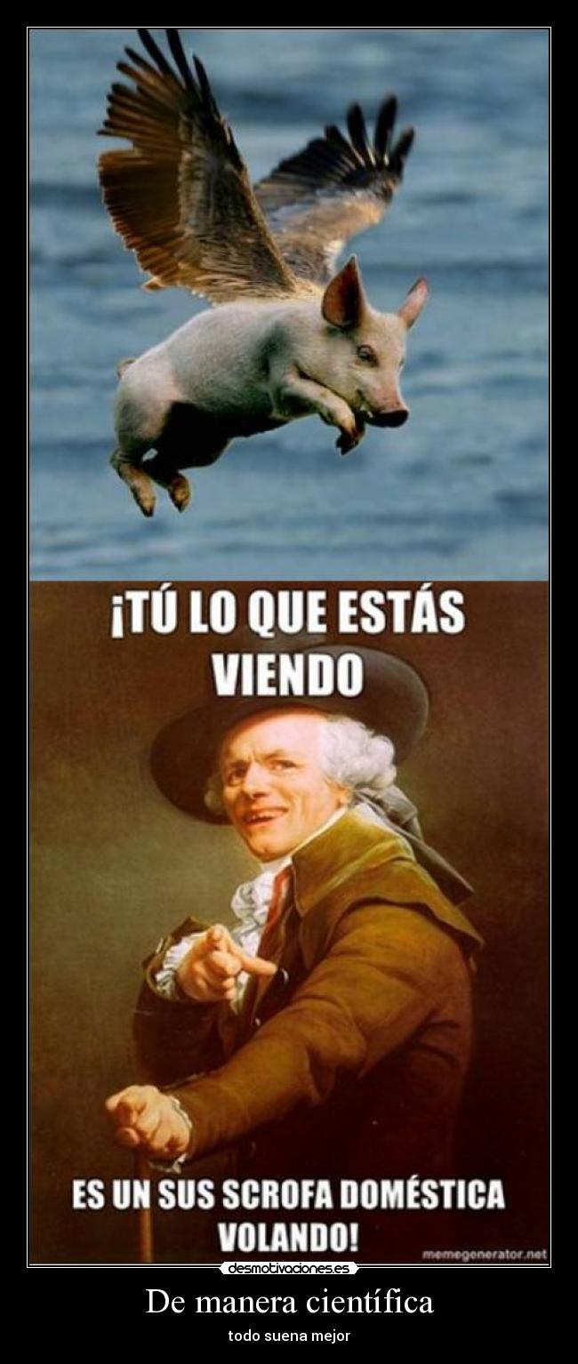 carteles meme desmotivaciones