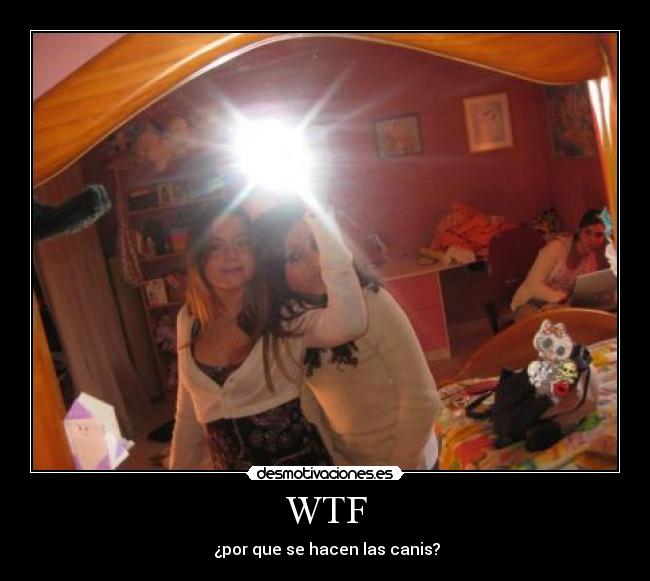WTF -  ¿por que se hacen las canis?