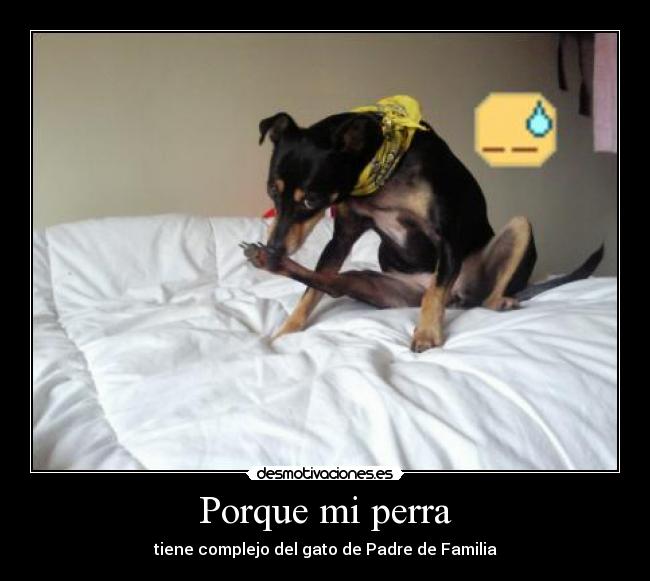Porque mi perra -