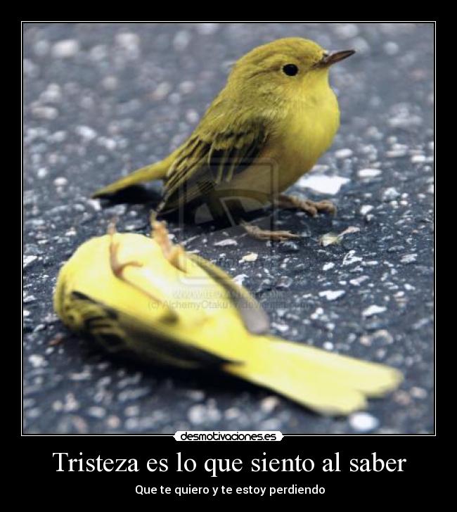 Tristeza es lo que siento al saber - 
