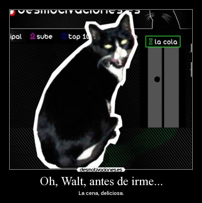 Oh, Walt, antes de irme... - La cena, deliciosa.