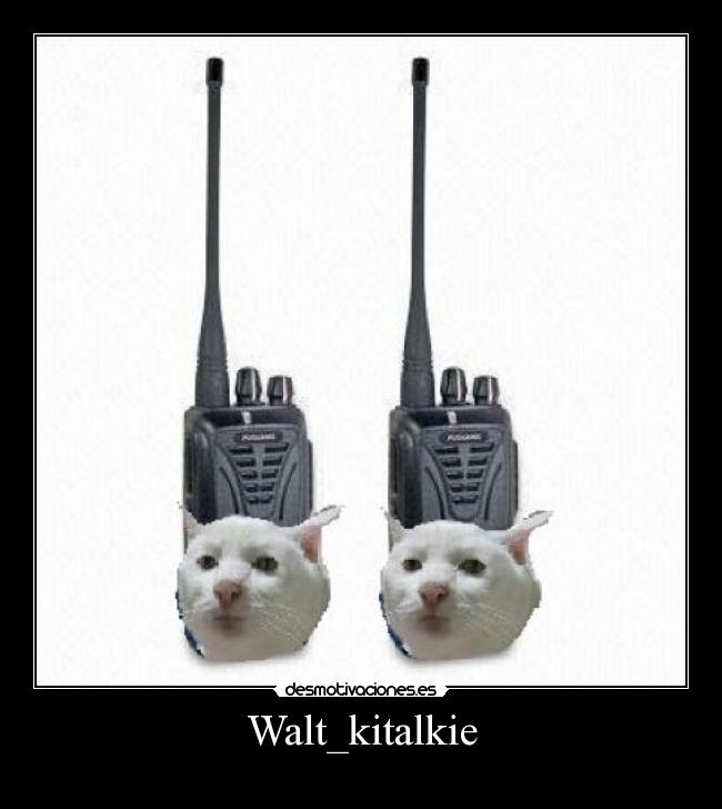 Walt_kitalkie -