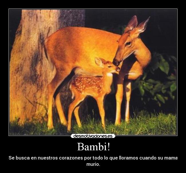 Bambi! -