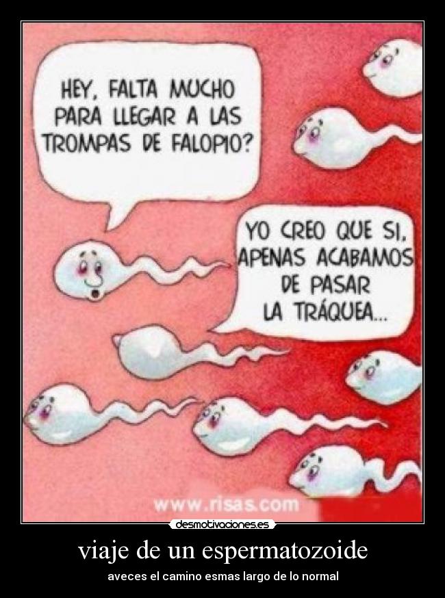 carteles espermatozoide desmotivaciones