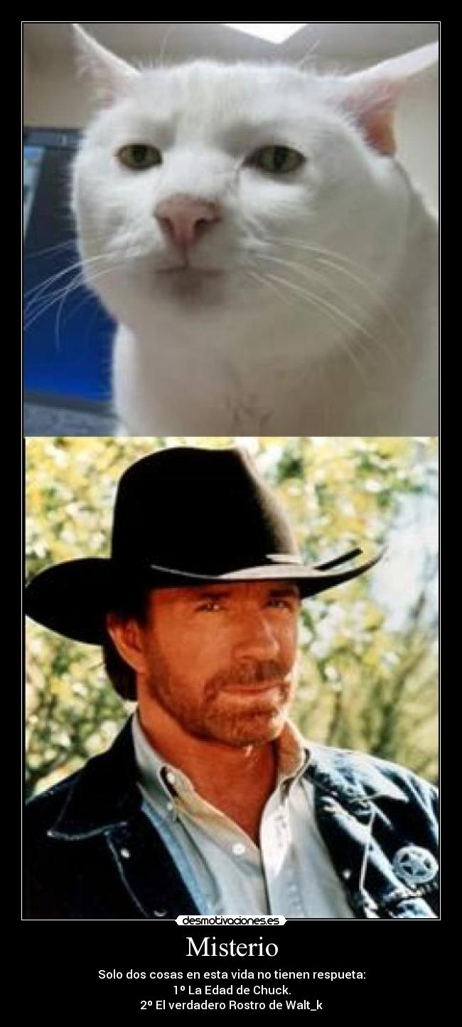 Misterio - Solo dos cosas en esta vida no tienen respueta:
1º La Edad de Chuck.
2º El verdadero Rostro de Walt_k