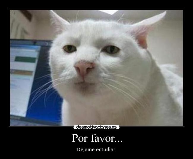 Por favor... - Déjame estudiar.