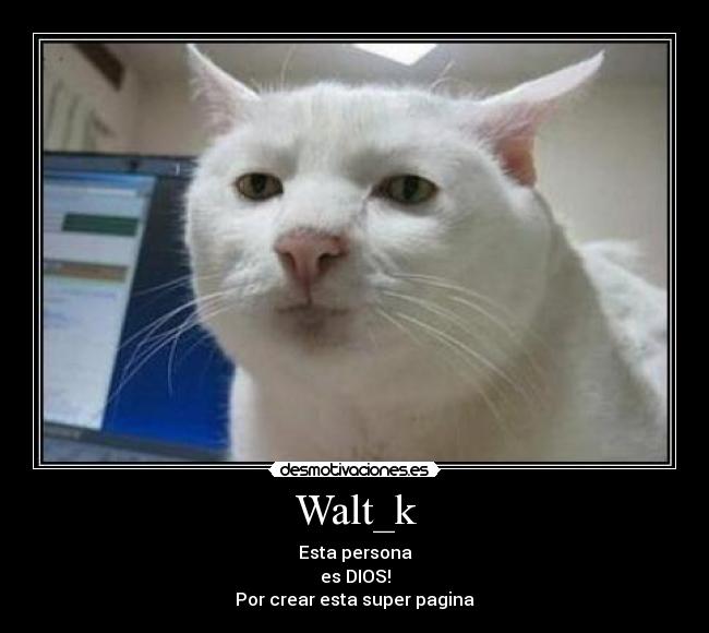 Walt_k -