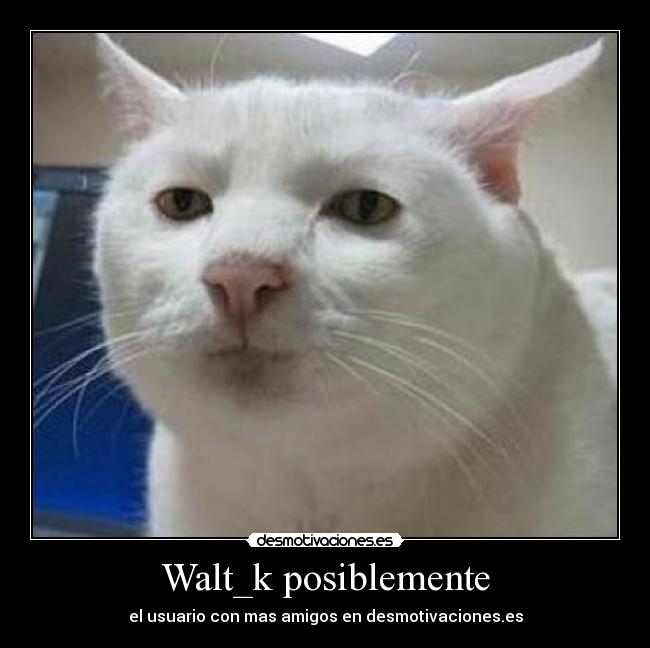 Walt_k posiblemente - el usuario con mas amigos en desmotivaciones.es