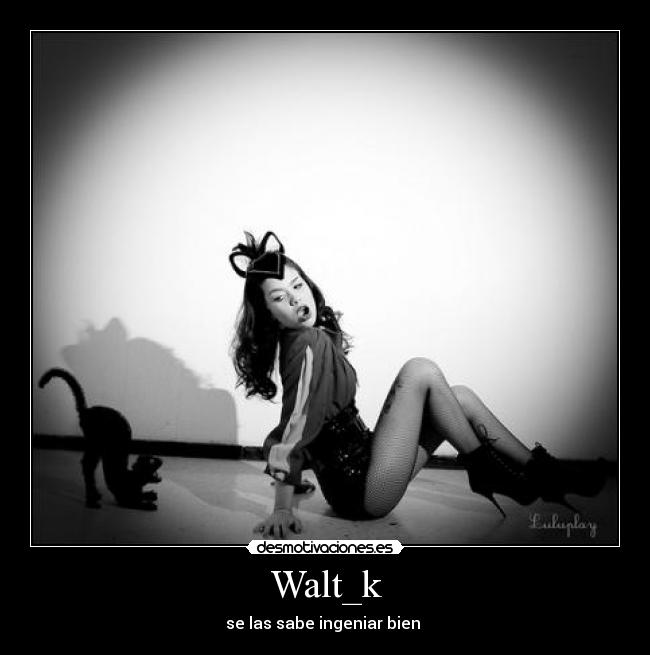 Walt_k - se las sabe ingeniar bien