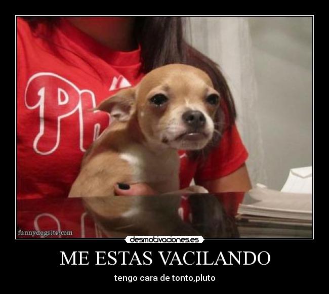 ME ESTAS VACILANDO - tengo cara de tonto,pluto