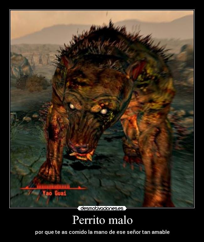 Perrito malo - 