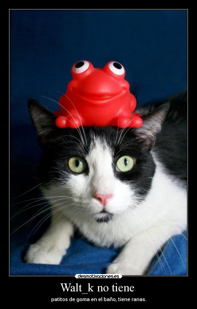 Walt_k no tiene  - patitos de goma en el baño, tiene ranas.