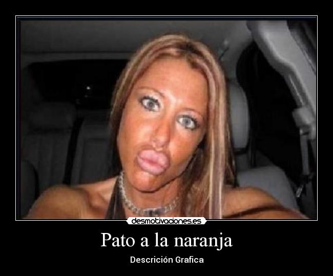 Pato a la naranja - Descrición Grafica