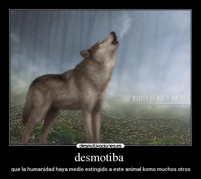 desmotiba -