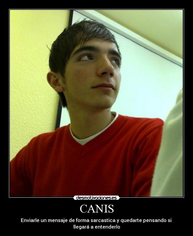 CANIS - 