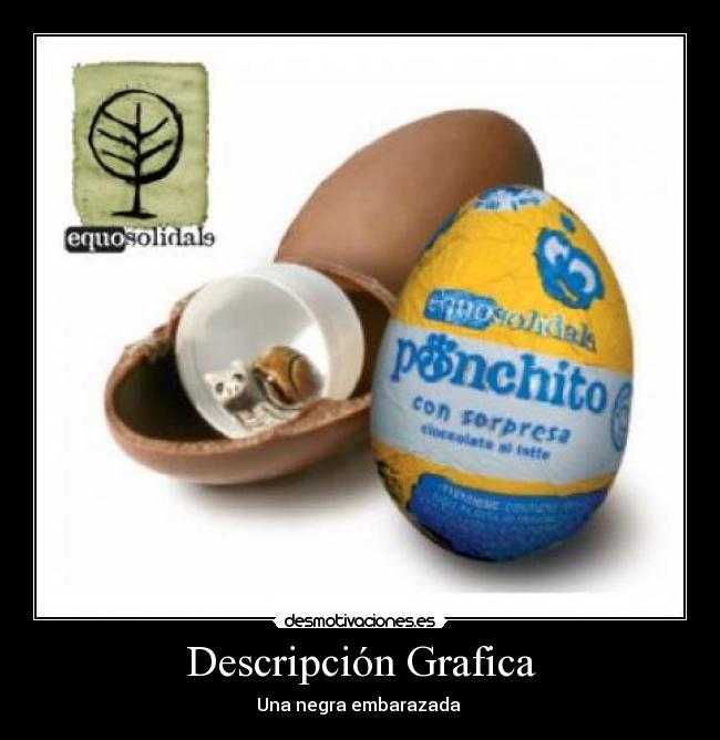  Descripción Grafica  - 