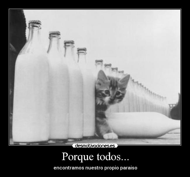 Porque todos... - encontramos nuestro propio paraiso