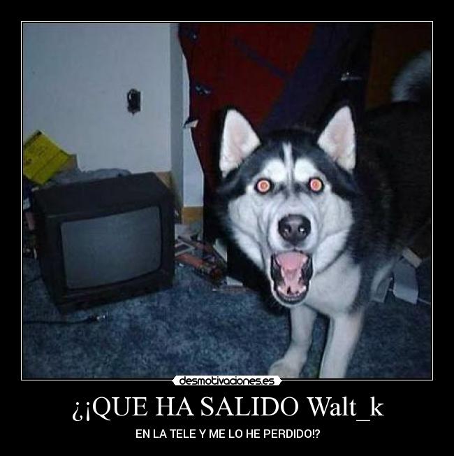 ¿¡QUE HA SALIDO Walt_k - 