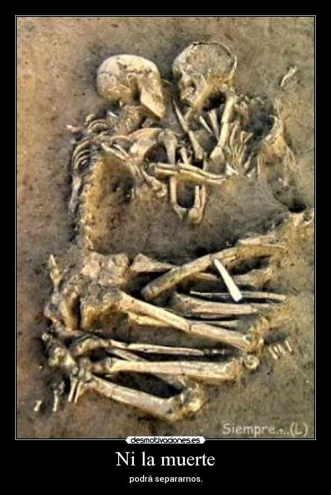 carteles muerte amor desmotivaciones