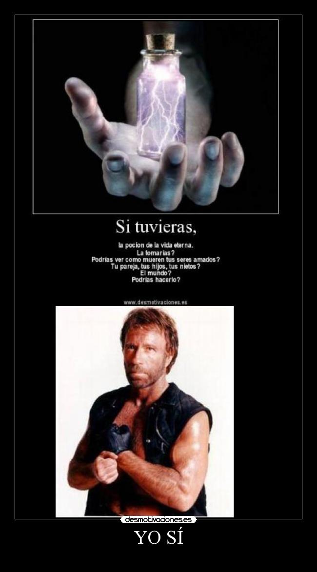 carteles chucknorrisyosijajajaelmejor cartelprincipal desmotivaciones