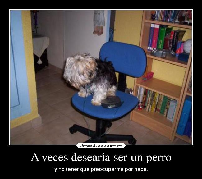 carteles tener que preocuparme por tener que madrugar estudiar nada desmotivaciones