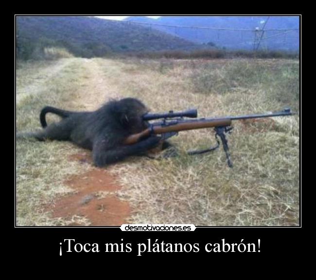 ¡Toca mis plátanos cabrón! - 