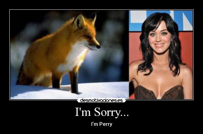 Im Sorry... - Im Perry