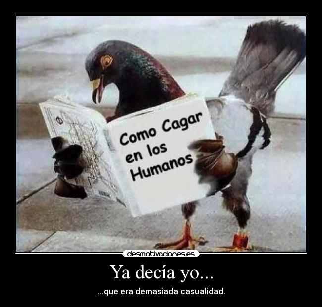 carteles palomas desmotivaciones