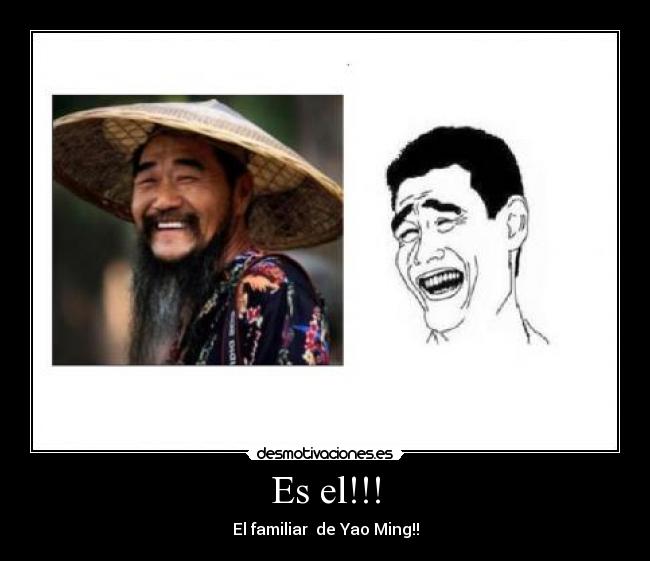 Es el!!! - El familiar  de Yao Ming!!