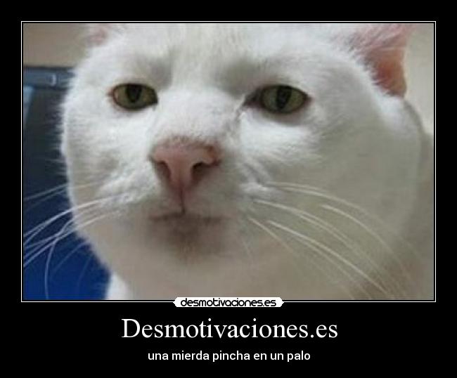 carteles jaja desmotivaciones