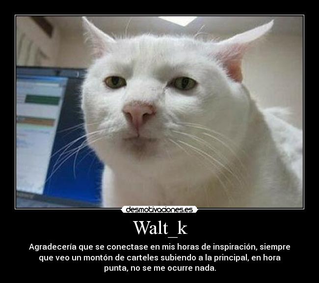 Walt_k - 