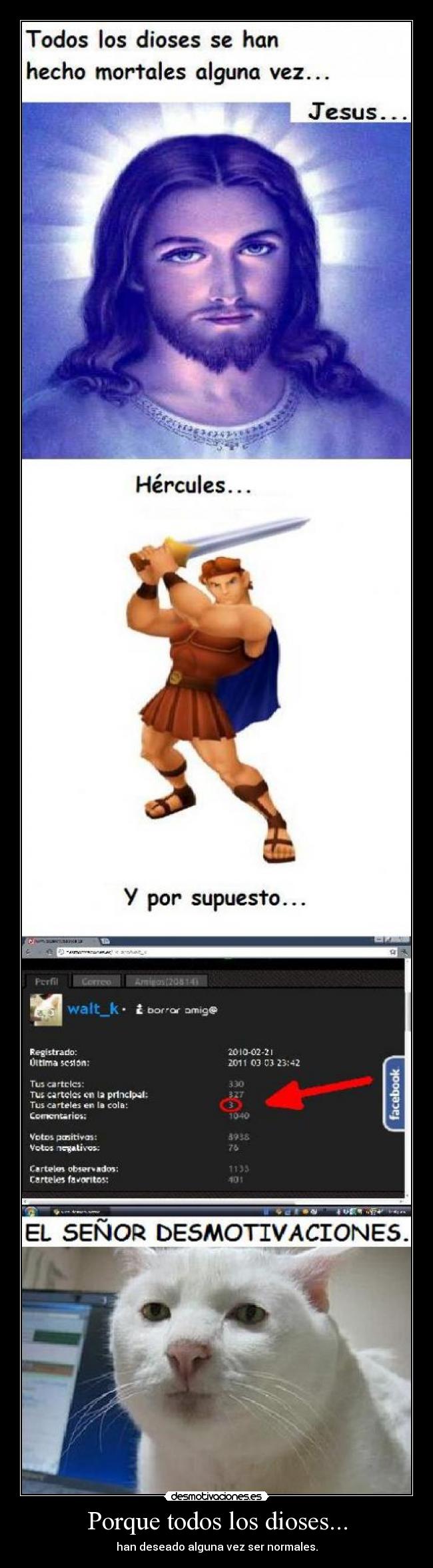 carteles gatito desmotivaciones