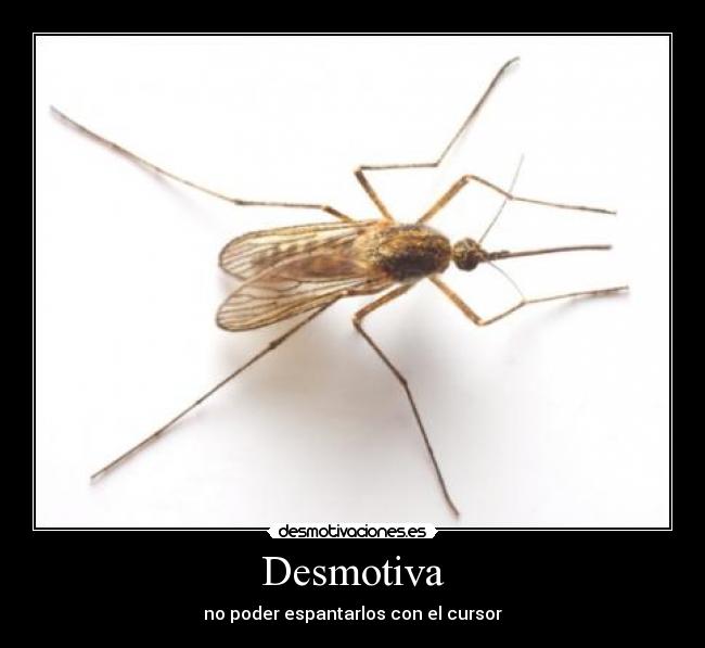 Desmotiva - 