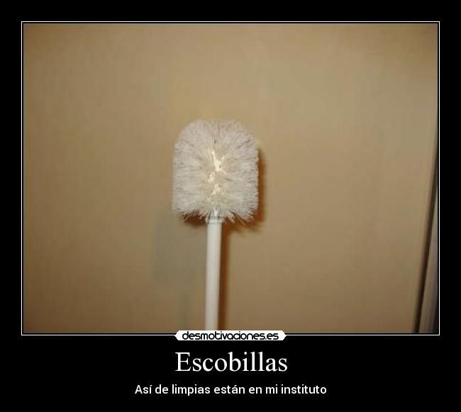 Escobillas - 