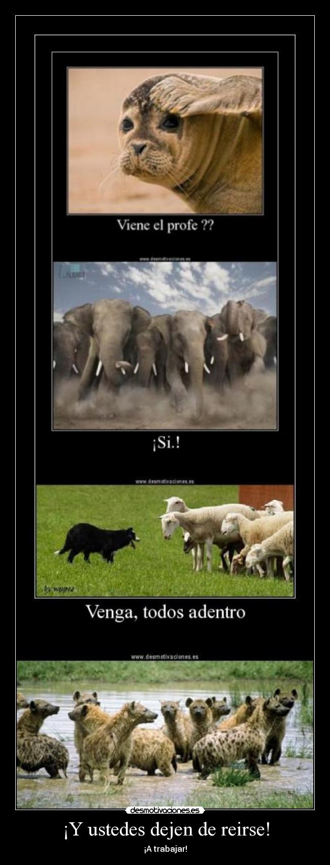 ¡Y ustedes dejen de reirse! -