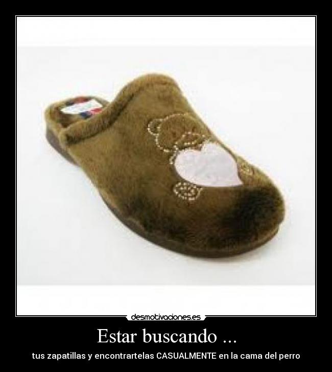 Estar buscando ... - tus zapatillas y encontrartelas CASUALMENTE en la cama del perro