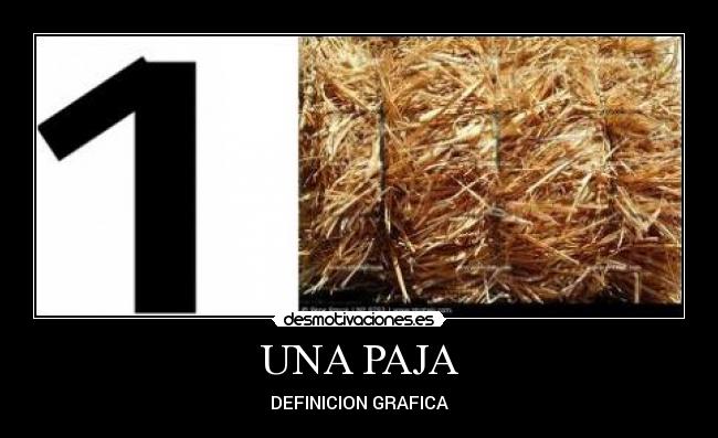 UNA PAJA - DEFINICION GRAFICA