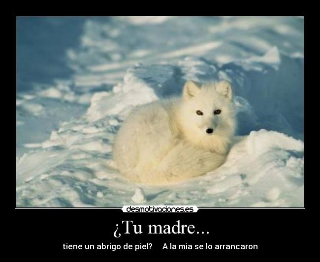 carteles madre piel desmotivaciones