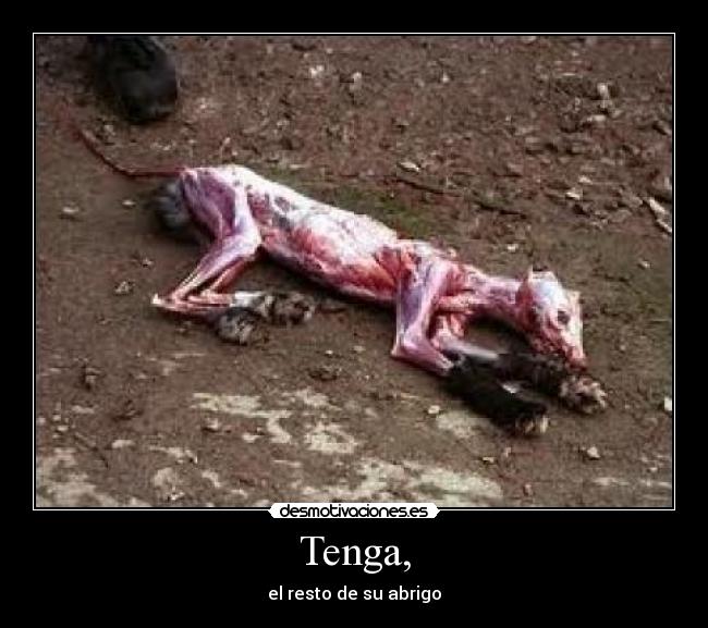 Tenga, - el resto de su abrigo