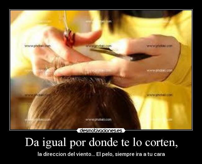 Da igual por donde te lo corten, -