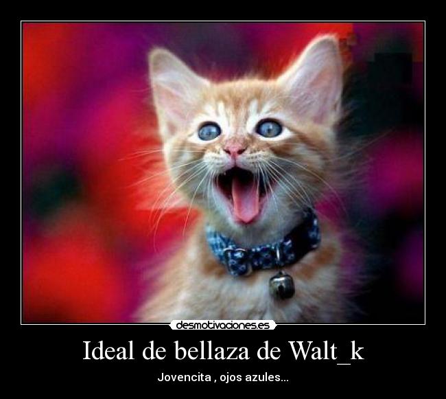 Ideal de bellaza de Walt_k - Jovencita , ojos azules...
