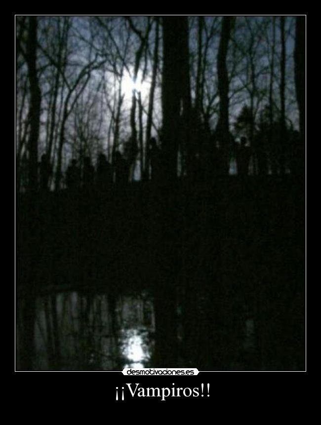 carteles vampiros desmotivaciones