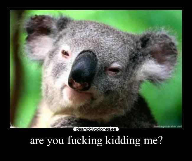 are you fucking kidding me? -