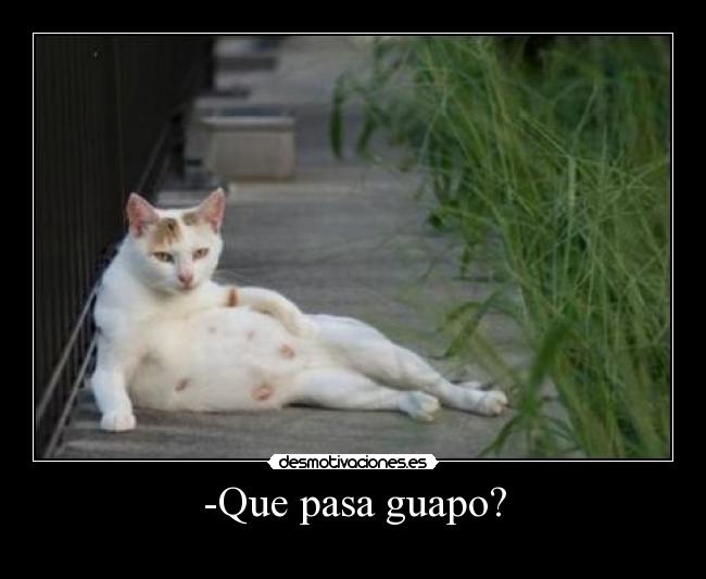 -Que pasa guapo? -